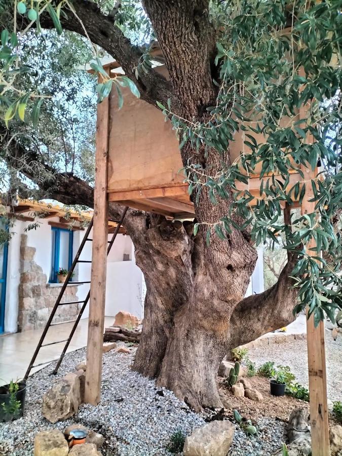 イェルツ Sole In Ogliastra Bed & Breakfast エクステリア 写真