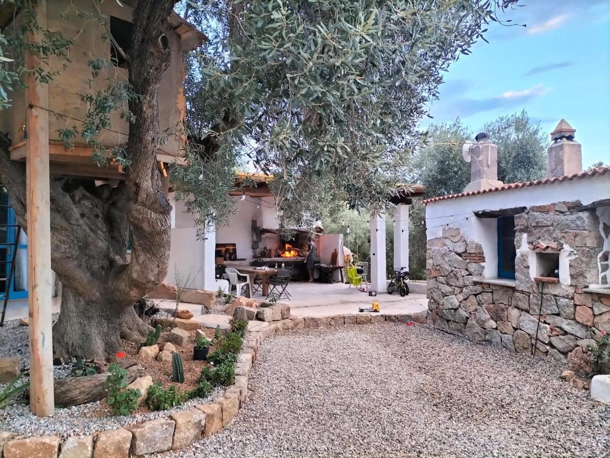 イェルツ Sole In Ogliastra Bed & Breakfast エクステリア 写真