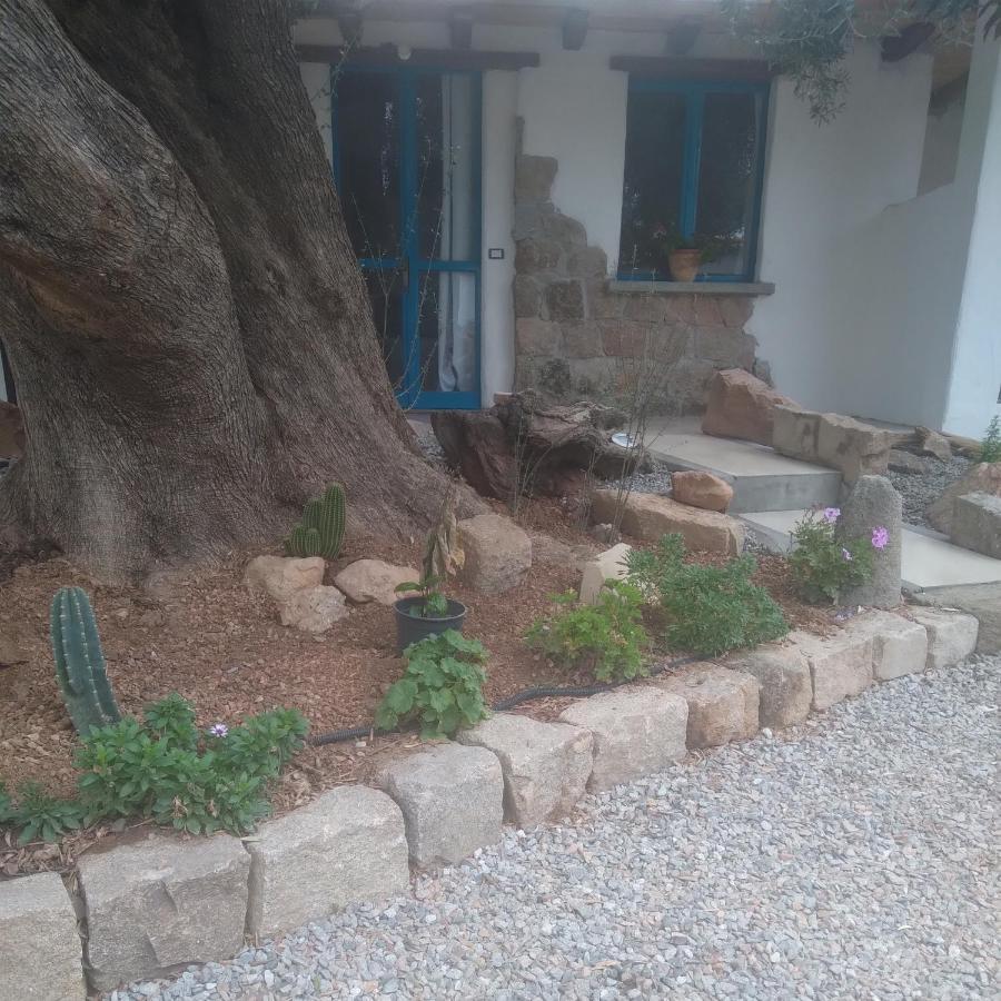 イェルツ Sole In Ogliastra Bed & Breakfast エクステリア 写真