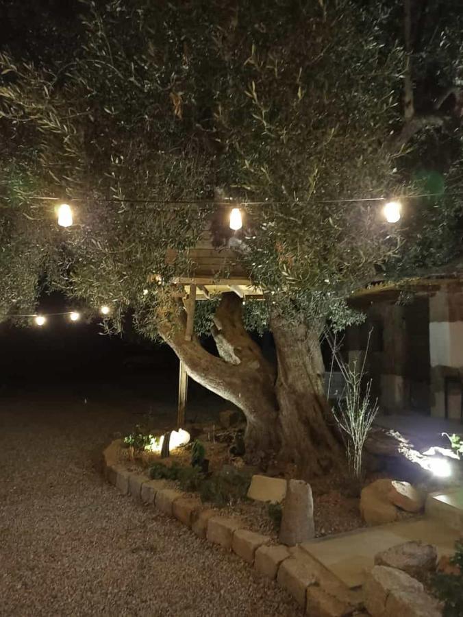 イェルツ Sole In Ogliastra Bed & Breakfast エクステリア 写真